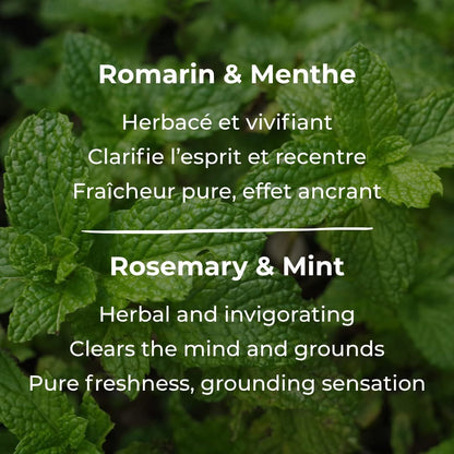 Revitalisant - Romarin et menthe