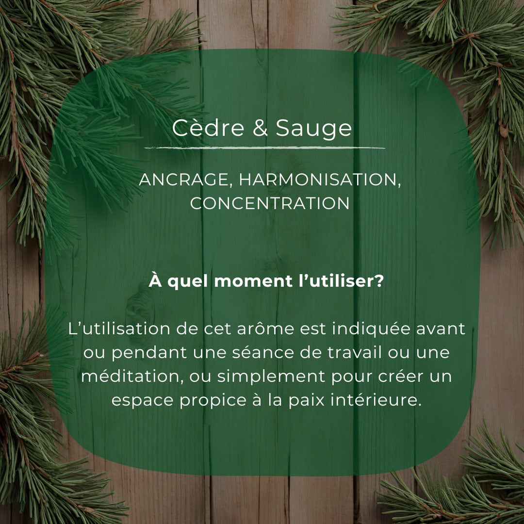 Shampooing - Cèdre et sauge
