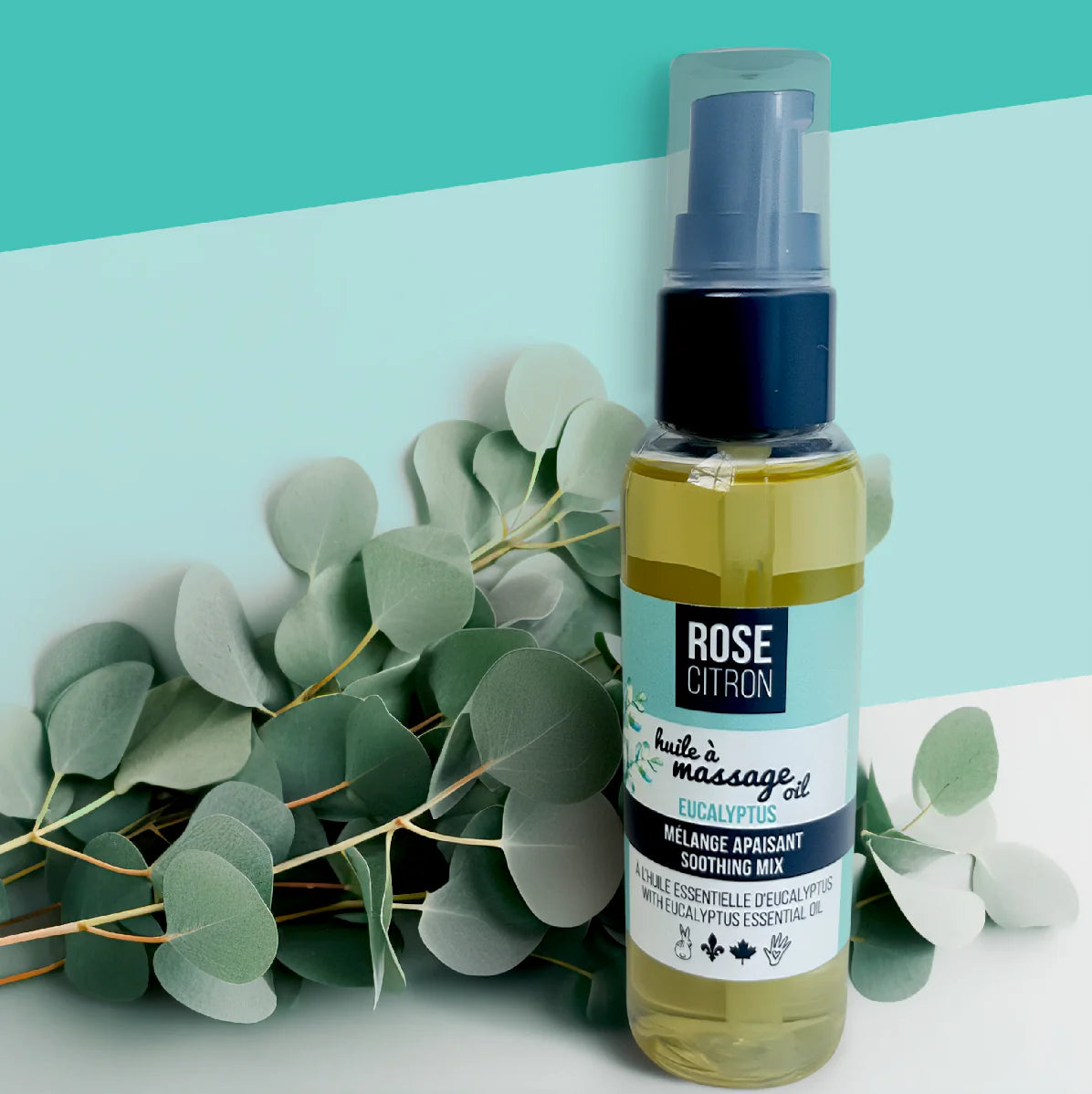 Huile à massage - Eucalyptus