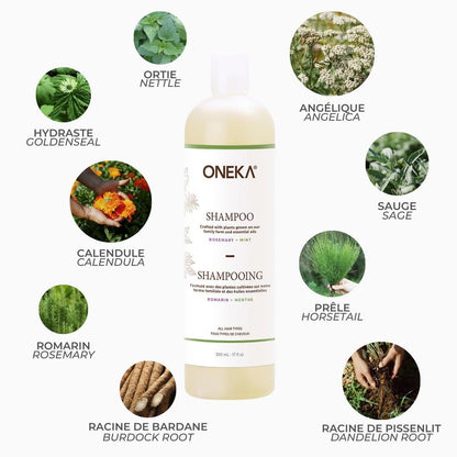 Shampooing - Romarin et menthe