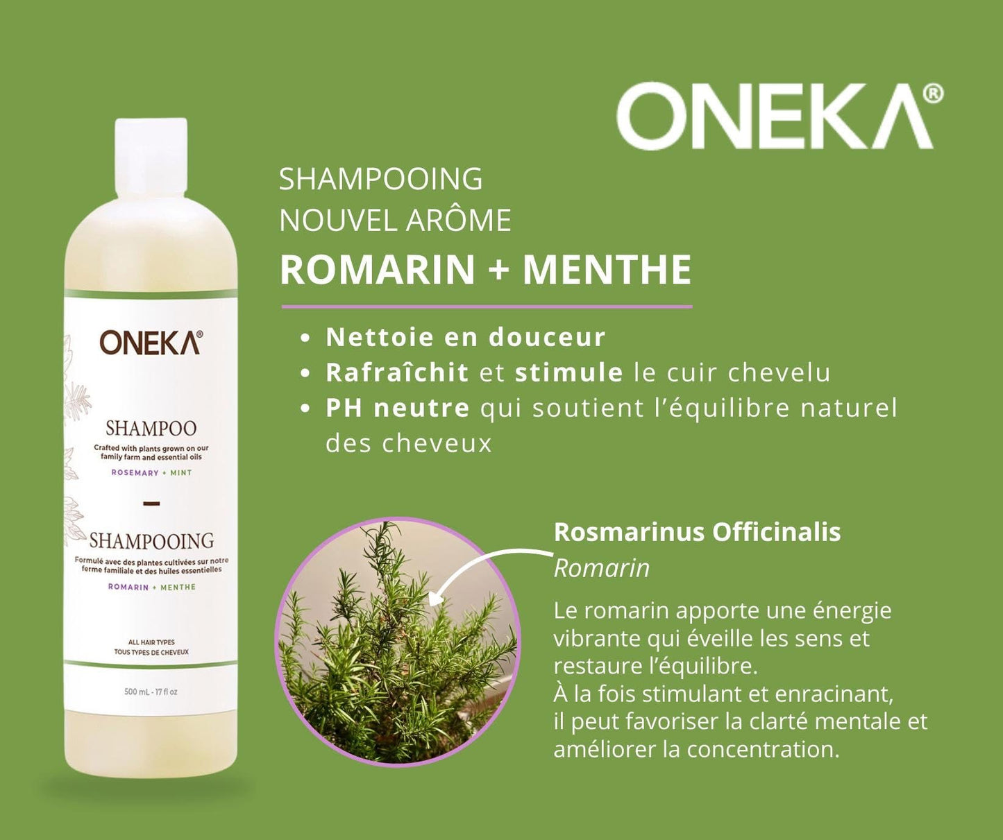 Shampooing - Romarin et menthe