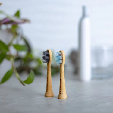 Têtes pour brosse à dents électrique Philips Sonicare