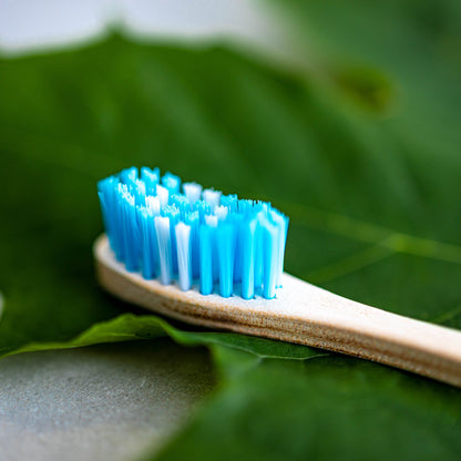 Brosse à dents OLA Cycle - Souple